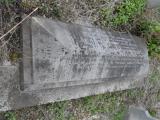 image of grave number 295023